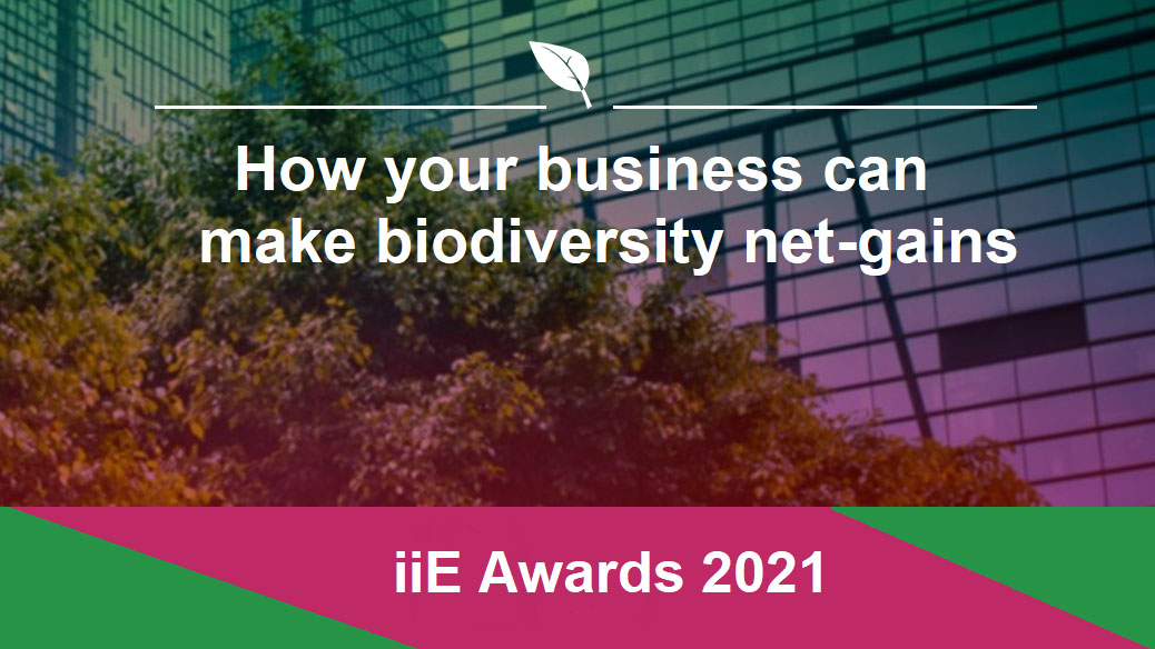 how can your business make biodiversity net-gains