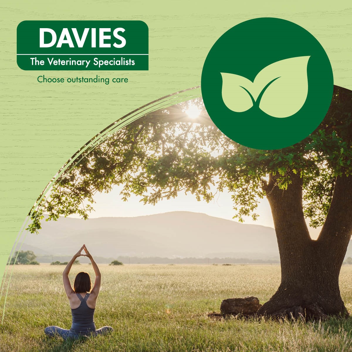 Davies Vets - Investors in the Environment